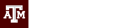 University Youth Programs